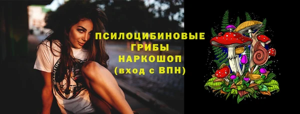 СК Магас