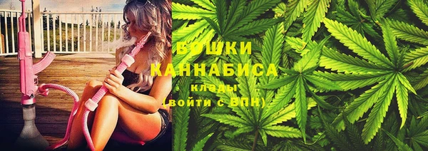 молекула духа Анжеро-Судженск