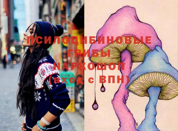 СК Магас