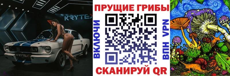 MEGA ссылка Сясьстрой Галлюциногенные грибы мухоморы